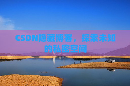 CSDN隐藏博客，探索未知的私密空间